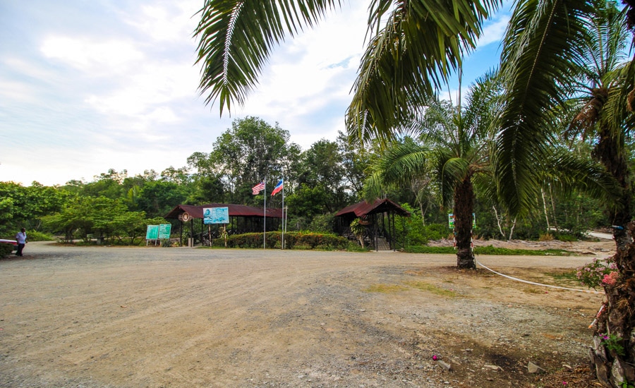 Cestopis Borneo - Proboscis Monkey Sanctuary