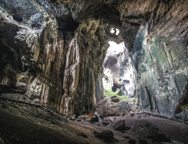 Malajsie - Gomantong Cave